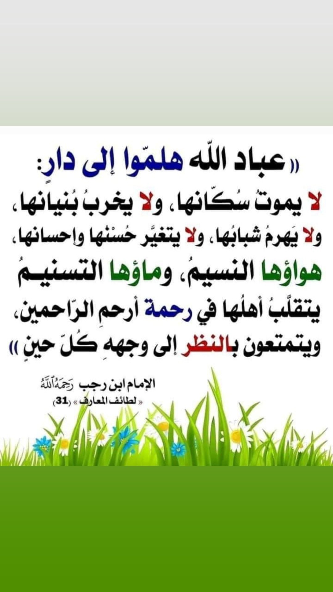 ��� ����_pzVFT