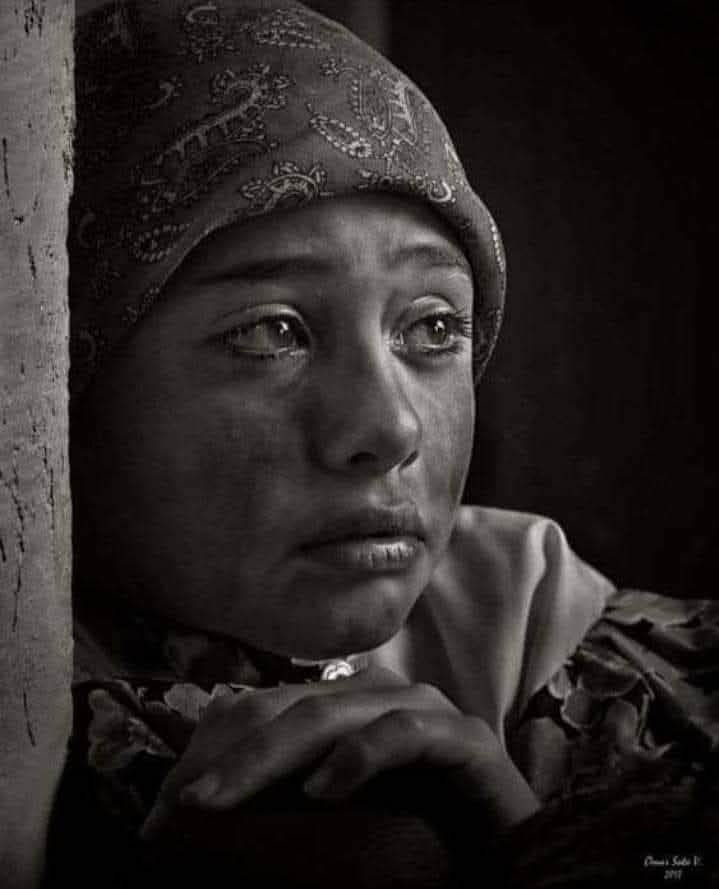 ����� �����_1gCmK